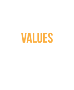 values_badge-247×300 better biz values